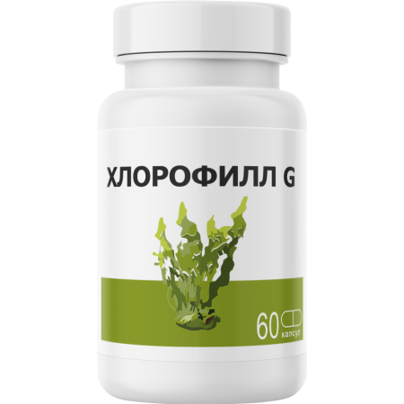 Хлорофилл G
